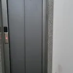 Daily 1 * تيرانا