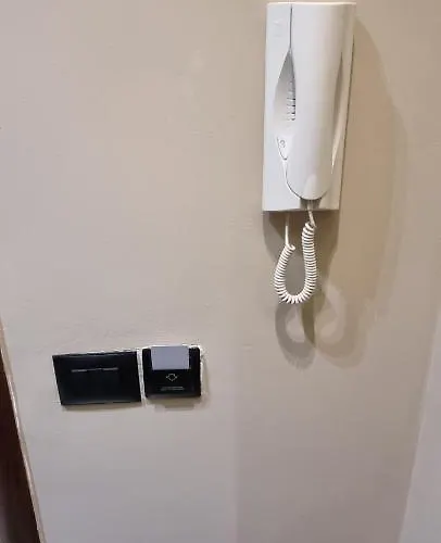 Daily 1